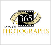 365 Photography